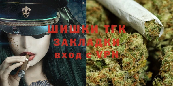 ГАЛЛЮЦИНОГЕННЫЕ ГРИБЫ Наволоки