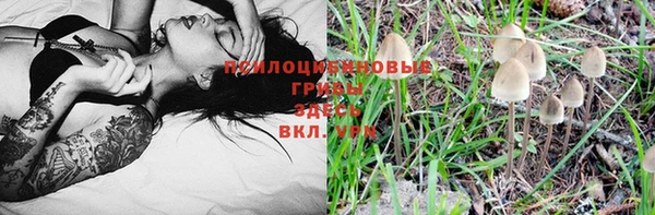 ГАЛЛЮЦИНОГЕННЫЕ ГРИБЫ Наволоки