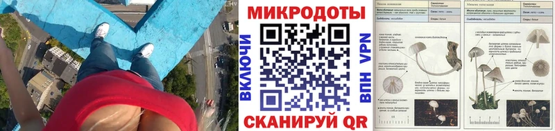 Купить  Шиханы  Галлюциногенные грибы Magic Shrooms 