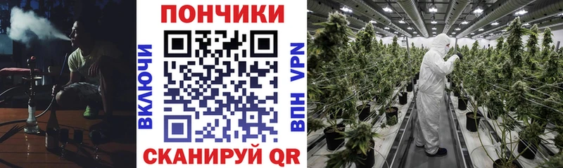 Каннабис SATIVA & INDICA  Купить  Шиханы 